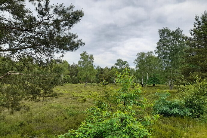 Halen Harm en Henk Berlijn? - Foto: Eigen geleverde foto