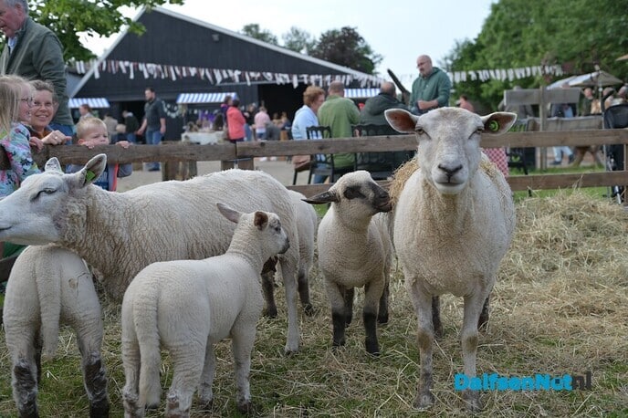 Boerenmarkt Buitenplaats Vechterweerd druk bezocht - Foto: Johan Bokma