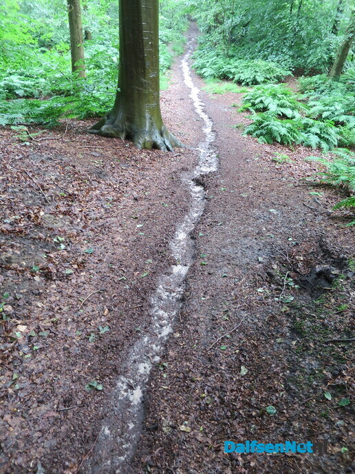 Wandelen over Landgoed Vilsteren - Foto: Wim