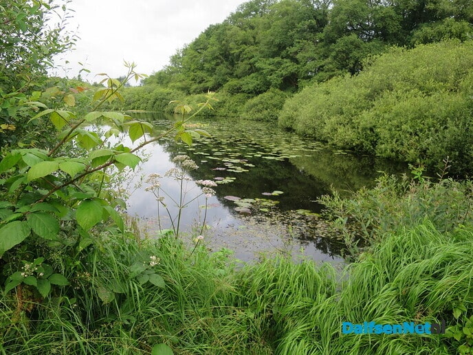 Wandelen over Landgoed Vilsteren - Foto: Wim