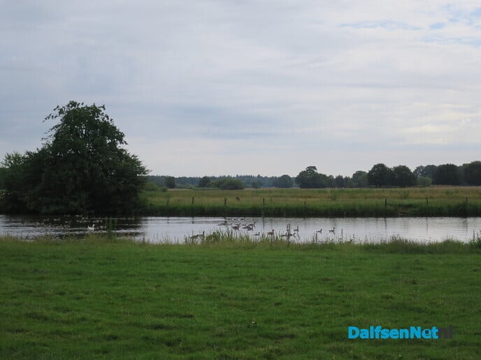 Wandelen over Landgoed Vilsteren - Foto: Wim