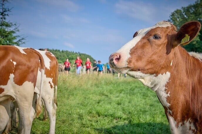 We zijn gefinisht! - Foto: Ingezonden foto