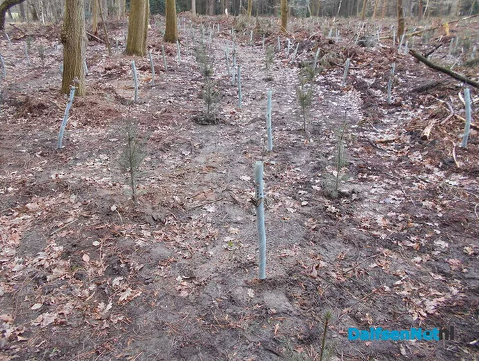 Zoeken naar de juiste bescherming tegen wildschade