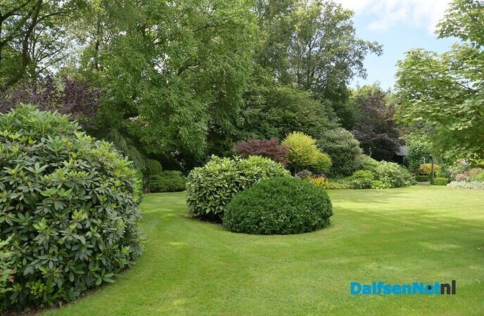 ‘Muziek in de tuin’ ook dit jaar een geslaagd evenement - Foto: Johan Bokma