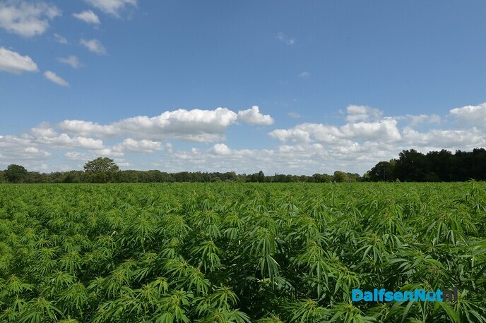 Biobased bouwproducten van Hessumse bodem - Foto: Johan Bokma