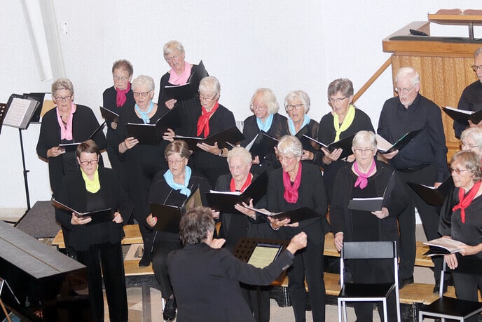 Jubilerend Nieuwleusen Synergie - Foto: Ingezonden foto