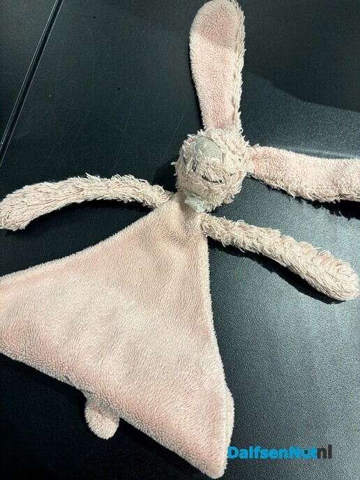 Knuffeltje is terug bij de eigenaar - Foto: Ingezonden foto