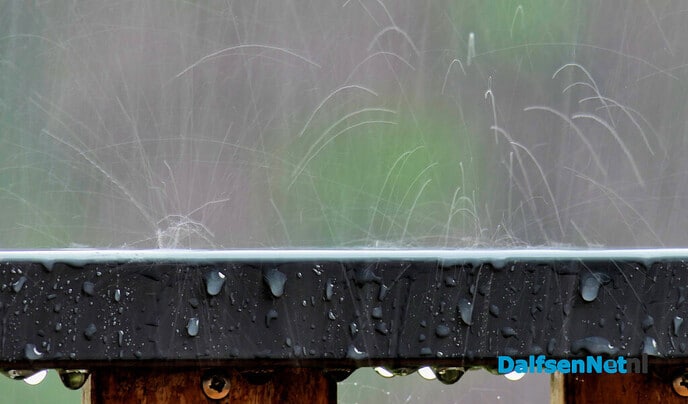 Schoonheid van de regen. - Foto: Ingezonden foto