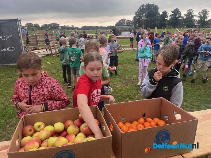 200 kinderen druk aan de slag bij de Timmerweek - Foto: Ingezonden foto