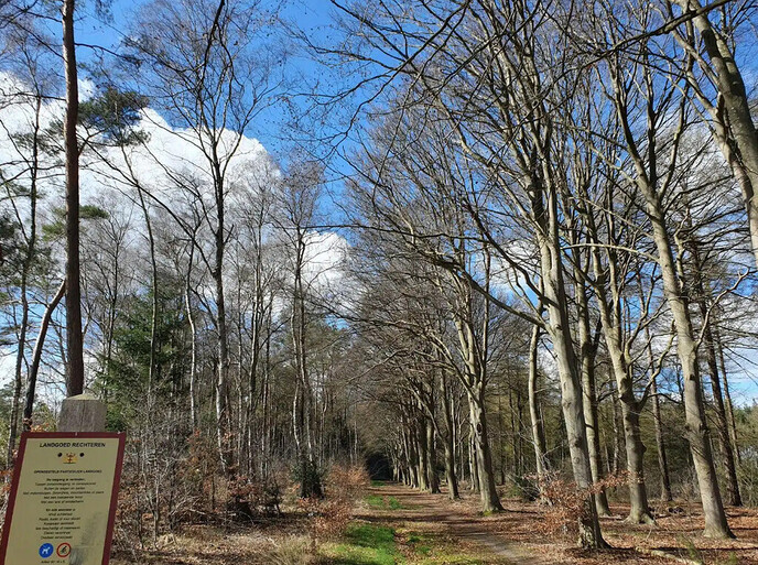 De heide staat weer in bloei - Foto: Ingezonden foto