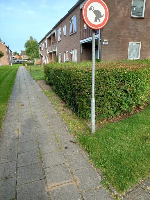 Staat dit bord soms te hoog? - Foto: Ingezonden foto