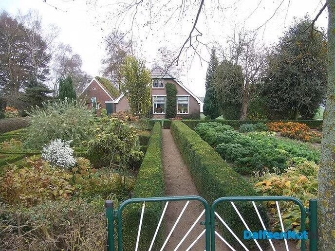 Dalfsennet is een hele trouwe kijker verloren