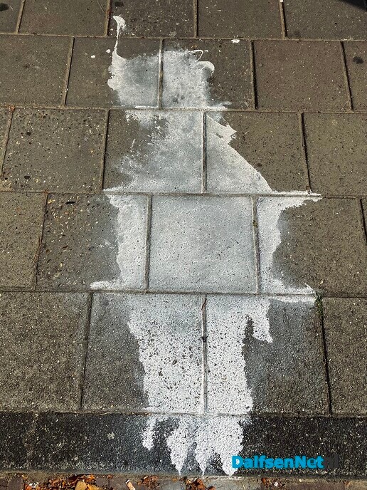 In Dalfsen ook soort Banksy actief? - Foto: Paul Scholten