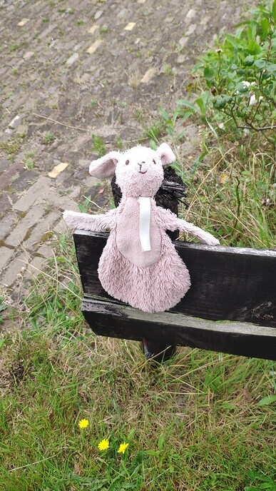 Knuffel - Foto: Ingezonden foto