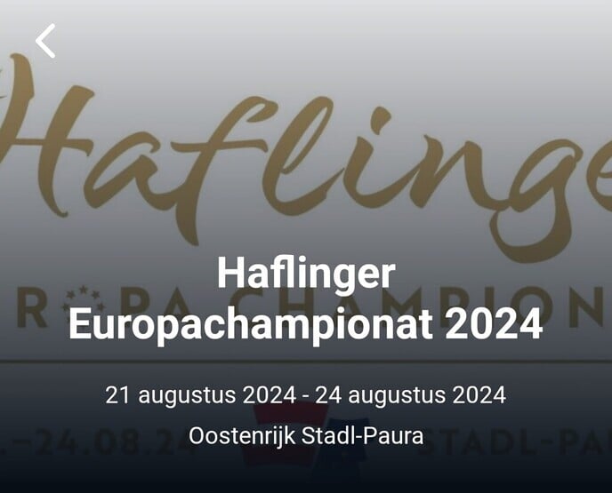 Dalfser equipe bij de Europese kampioenschappen dressuur - Foto: Ingezonden foto