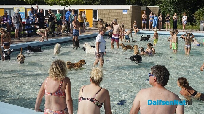 Hondenzwemmen in zwembad Gerner was groot succes - Foto: Paul Scholten