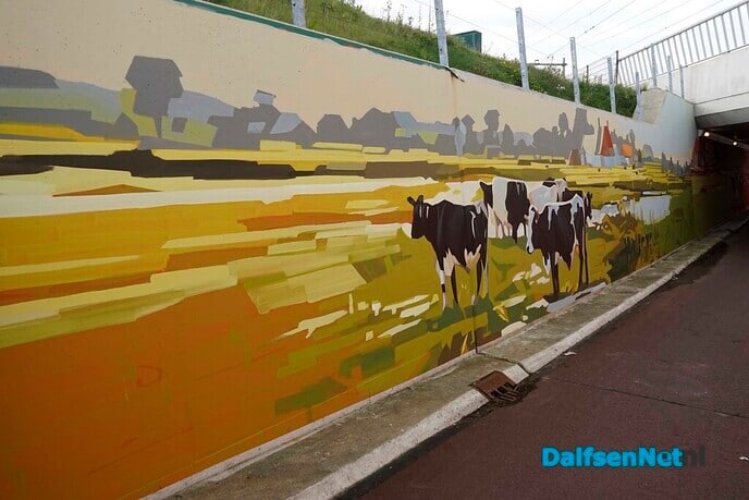 Muurschilderingen in fietstunnels bij spoorlijnen Hessenweg - Foto: Paul Scholten