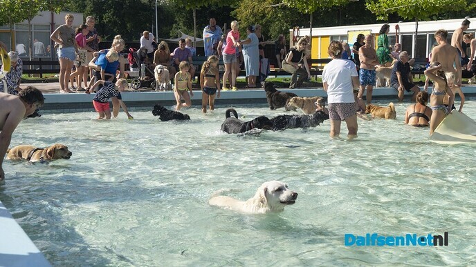 Hondenzwemmen in zwembad Gerner was groot succes - Foto: Paul Scholten