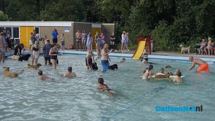 Hondenzwemmen in zwembad Gerner was groot succes - Foto: Paul Scholten