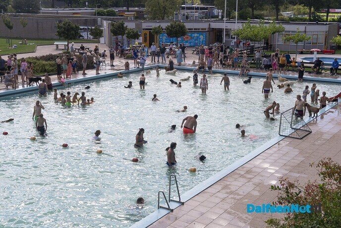 Hondenzwemmen in zwembad Gerner was groot succes - Foto: Paul Scholten