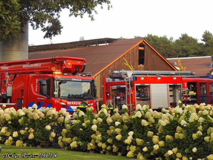 Brand gerucht in kippenschuur
