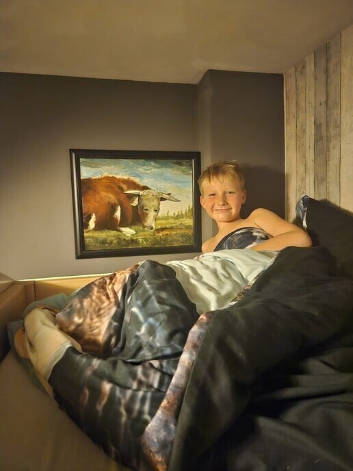Schilderijenverkoop van Dalfsenaar Johan Geerts - Foto: Eigen geleverde foto