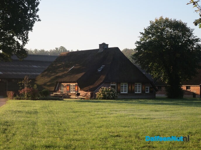 Om 07.00 uur, Een goudgele opkomende zon veelbelovend - Foto: Wim