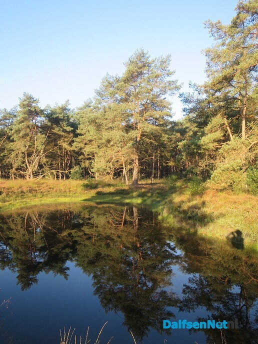 Om 07.00 uur, Een goudgele opkomende zon veelbelovend - Foto: Wim