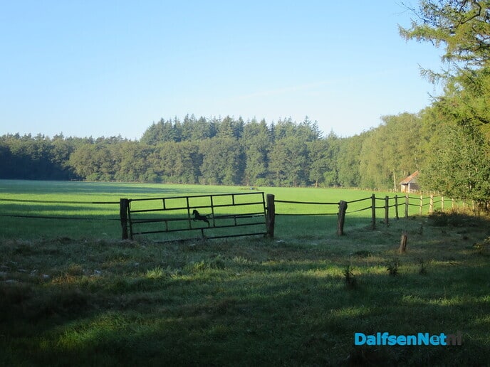 Om 07.00 uur, Een goudgele opkomende zon veelbelovend - Foto: Wim