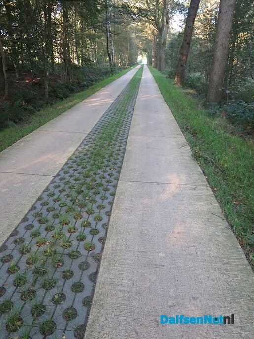 Om 07.00 uur, Een goudgele opkomende zon veelbelovend - Foto: Wim