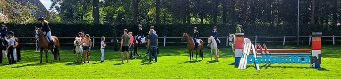 Sportverslag Paardensportvereniging Lemelerveld - Foto: Ingezonden foto