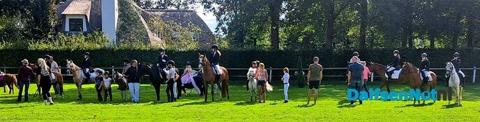 Sportverslag Paardensportvereniging Lemelerveld - Foto: Ingezonden foto