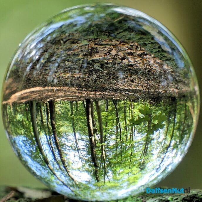 De omgekeerde wereld - Foto: Hans de Weerd