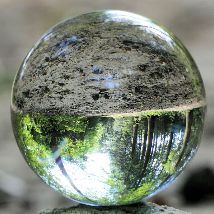 De omgekeerde wereld - Foto: Hans de Weerd