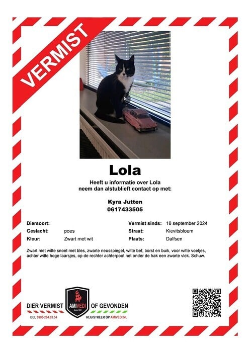 Poes Lola Vermist - Foto: Ingezonden foto