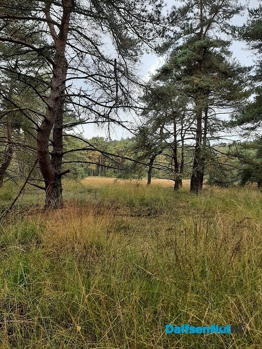 Drukte op de Eekwal - Foto: Ingezonden foto