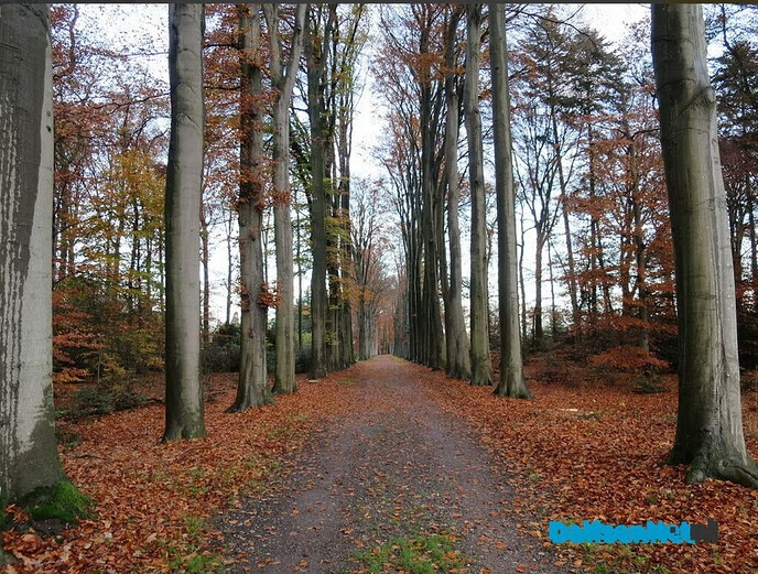Het aanplanten kan spoedig beginnen - Foto: Wim