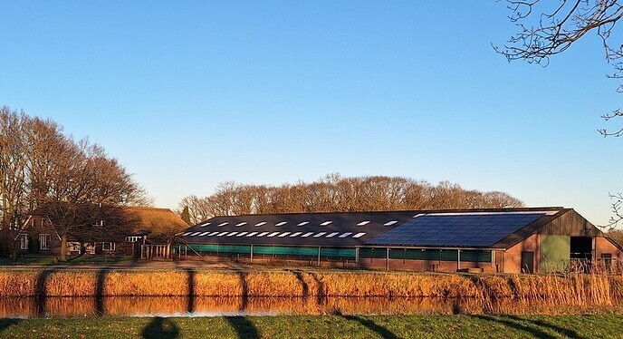 Boerderij met een glimlach biedt kleinschalige dagbesteding aan!