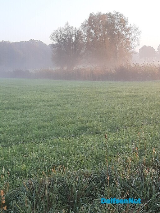Het is weer een prachtige ochtend op Bellingeweer - Foto: Ingezonden foto