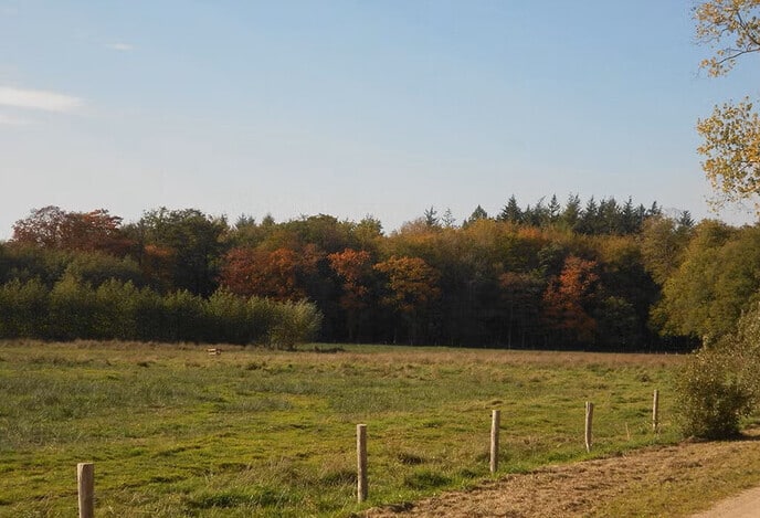 Herfstwandeling
