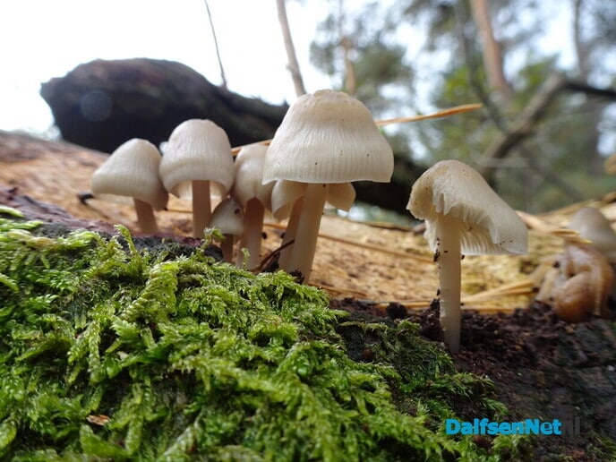 Drukte op de Eekwal - Foto: Ingezonden foto