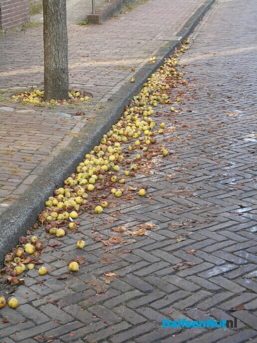 De appel valt niet ver