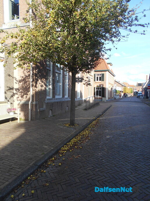 De appel valt niet ver