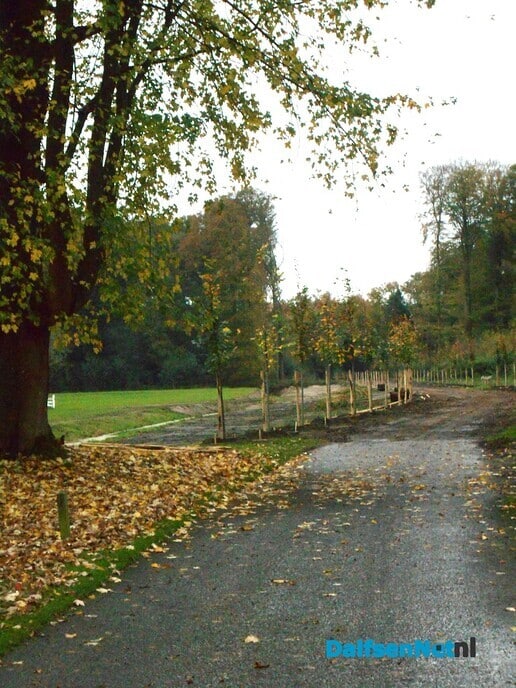 Het aanplanten is begonnen