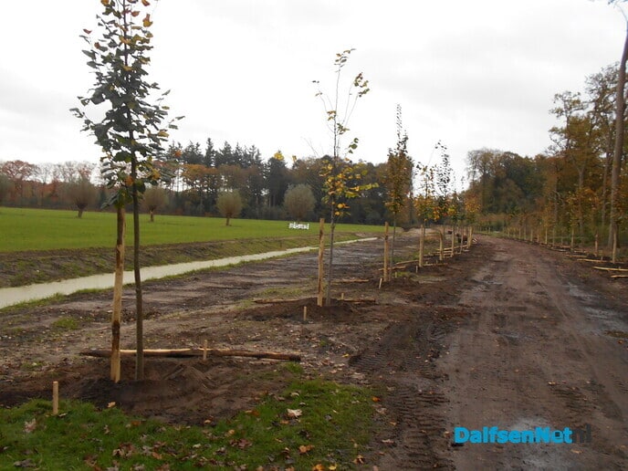 Het aanplanten is begonnen