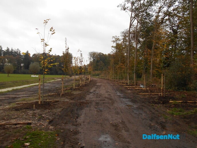 Het aanplanten is begonnen