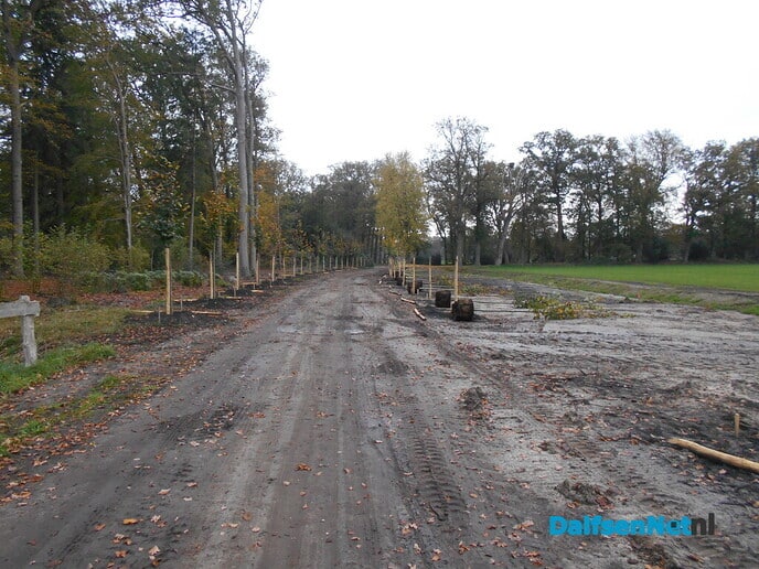 Het aanplanten is begonnen