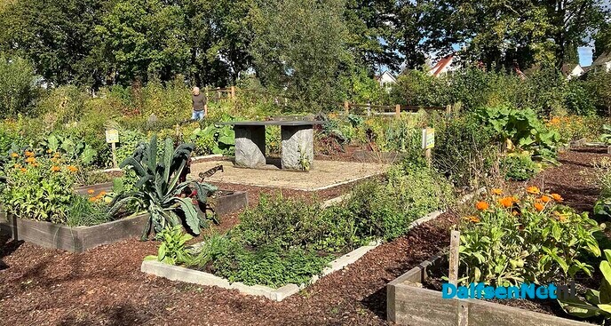 Stekjesmarkt bij Natuurboerderij BalkInn op 12 oktober - Foto: Paul Scholten