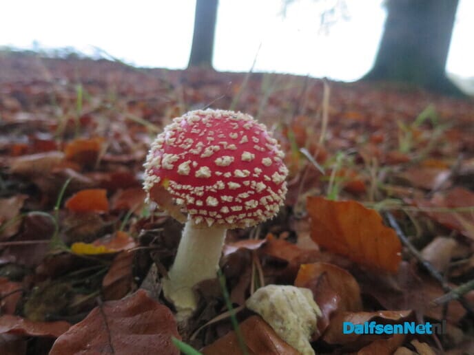 Wintertijd en genieten van de herfst - Foto: Wim