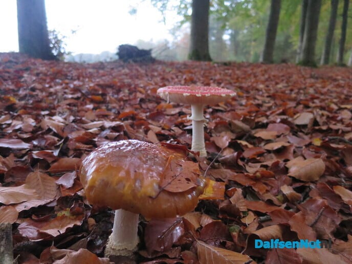 Wintertijd en genieten van de herfst - Foto: Wim